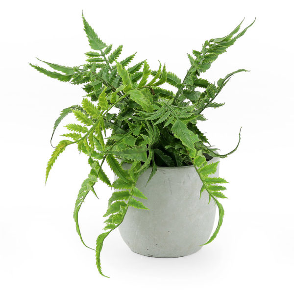 Faux green fern in a grey cement pot.