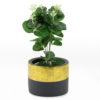 Pot plant holder. Black stone with Metalic gold trim. 9.5cm high.