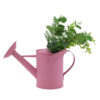Pink watering can.