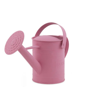 Pink watering can.
