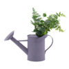 Purple watering can.