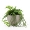 Grey pot plant holder. Small. 13cm high.