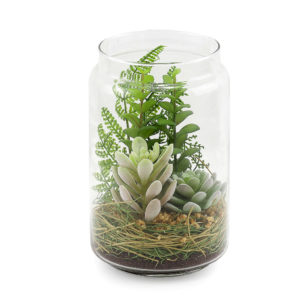 Succulent display in glass jar.