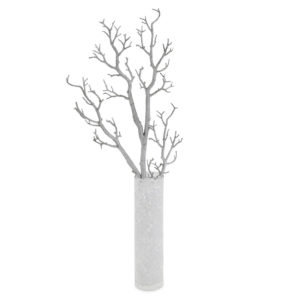 White Manzanita tree branches. Approximately 1.3 metres tall.