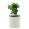 Green pot plant holder. 13cm high.