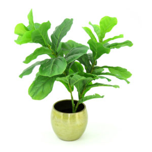 Better than the real thing, our collection of artificial plants and trees are high quality and look great! These elegant and stylish faux topiary ficus trees create a formal, yet relaxing space. Stunning green leaves, natural brown trunk in a black pot. 110cm high.