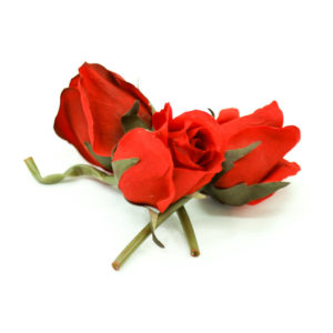 Red roses for use as decoration.