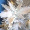 2m white Christmas tree covered with silver and white decorations. 
Icy white style decorations include a silver star topper, white and silver flowers, baubles and bows. 
Set up $190 | Hire $250 p/w | Removal $150 | Delivery TBC (depends on location)